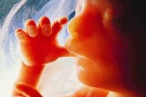 تاثیر پدران بر رشد مغز جنین