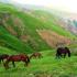 سوباتان از روستاهای بینظیر و زیبا در گیلان است که جاذبه های بسیاری برای گردشگران دارد همچنین گیاهان دارویی و غذاهای محلی خوشمزه ای را دارا می باشد. روستای سوباتان ، جایی که با تمام دنیا فرق دارد