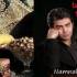 ویژه برنامه شب یلدا