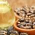 خواص روغن کرچک