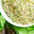 طرز تهیه غذا با یونجه