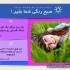 صبح بخیر