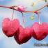 اس ام اس و عکس عاشقانه جدید