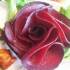 طرز تهیه لبو در فر