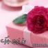 اس ام اس روز زن