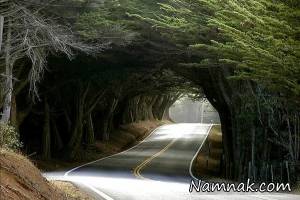 پارک جنگلی گیسوم ، جاذبه های گردشگری گیلان
