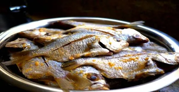تغذیه سالم ماهی