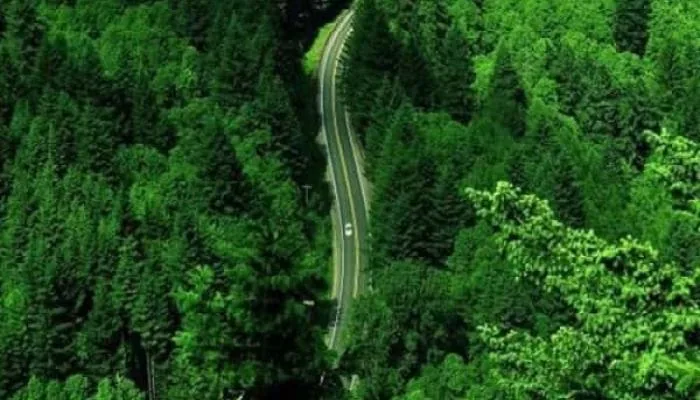 طبیعت زیبا