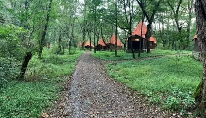 پارک جنگلی چالدره