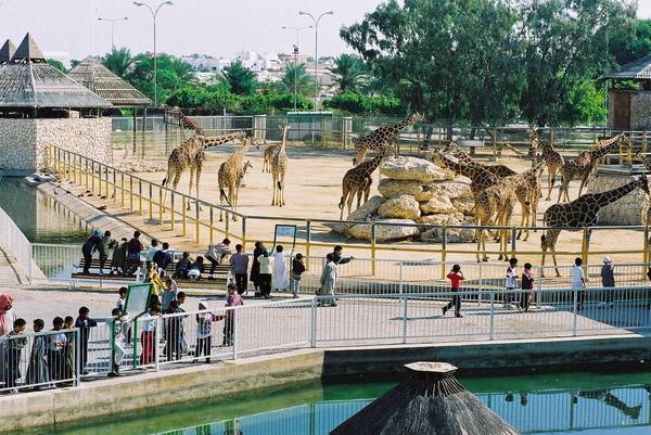  پارک حیات وحش الماها قطر