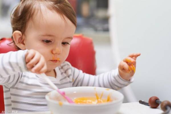 غذای مقوی برای دندان