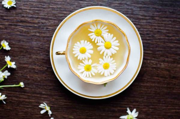 بابونه برای موخوره