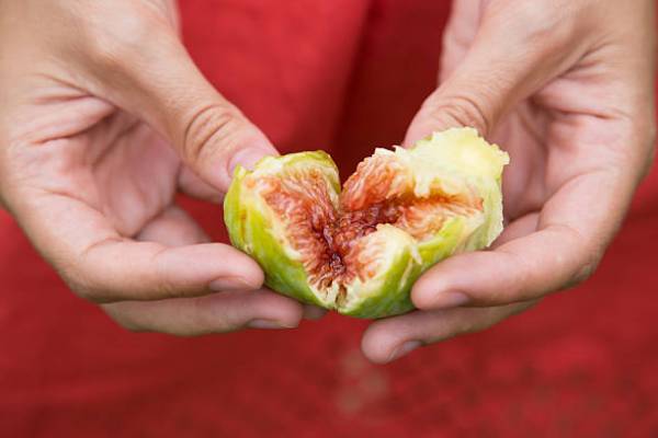 خواص انجیر برای دیابت