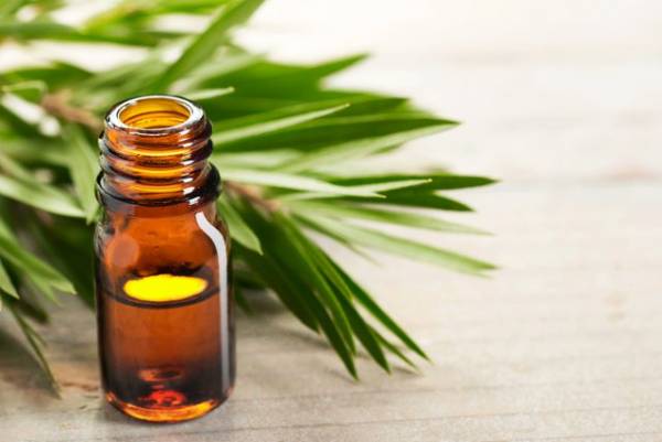 روغن درخت چای برای آماس دست و پا فواید روغن درخت چای