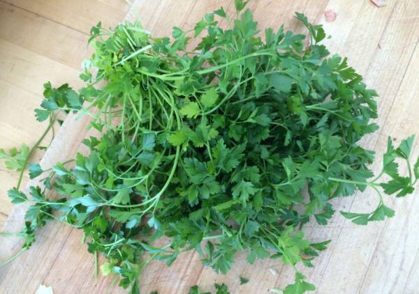 خواص جعفری برای آماس دست و پا خواص جعفری