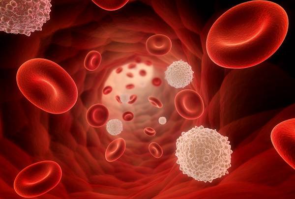 سرطان خون مزمن