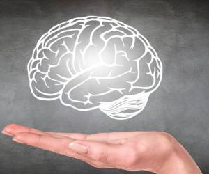 ادویه های مفید برای تقویت حافظه و مغز 1