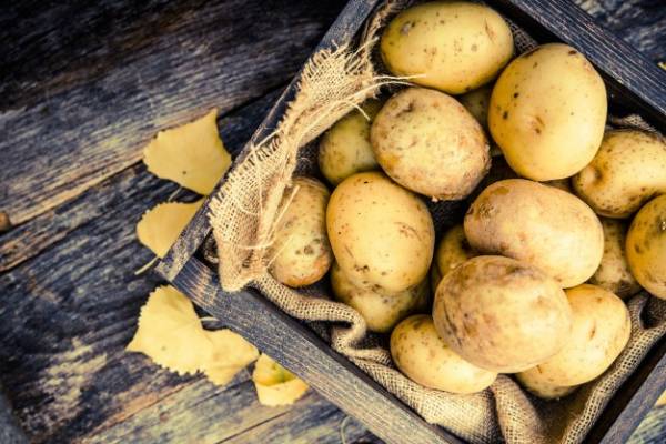 درمان ورم لب با سیب زمینی سیب زمینی برای لب