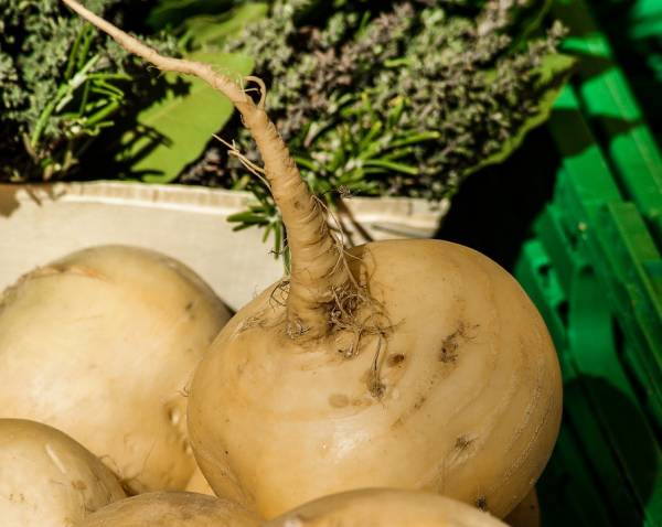 خواص شلغم و عسل