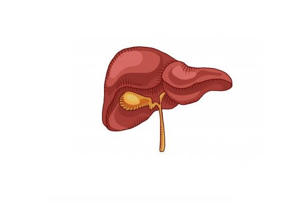 ساعات مختلف شبانه روز داخل بدن چه خبر است؟ 1