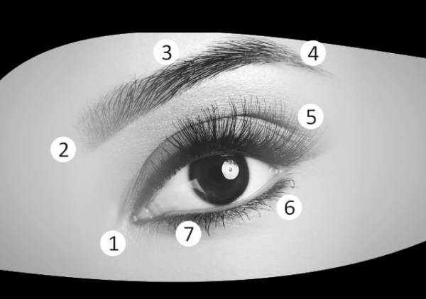 روش های آسان برای تقویت بینایی چشم در خانه 1