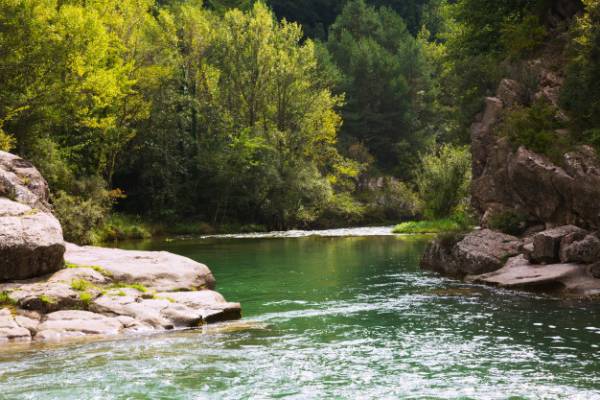 انگل رودخانه