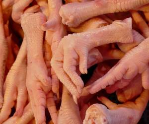 مزایای خوردن پای مرغ