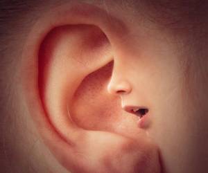 شخصیت شناسی از گوش ، شخصیت شناسی از روی اعضای بدن