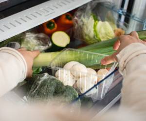 فریز کردن مواد غذایی