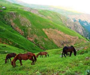 روستای سوباتان