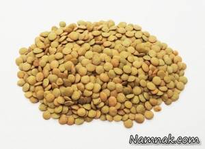 عدس