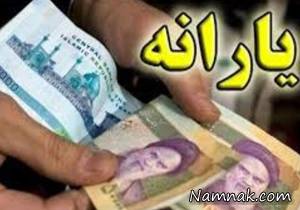یارانه ، بودجه
