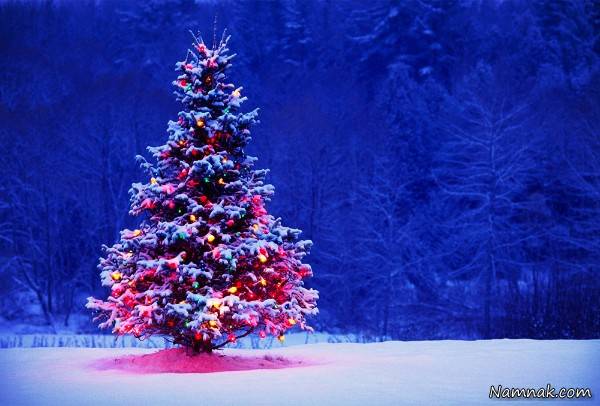 تبریک کریسمس 2019 در اینستاگرام فریدون آسرایی تبریک کریسمس 2019