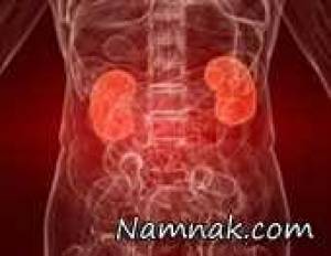 دفع پروتئین از کلیه ها ، دلایل دفع پروتئین از کلیه