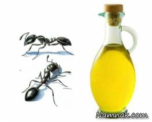 روغن مورچه ، روغن