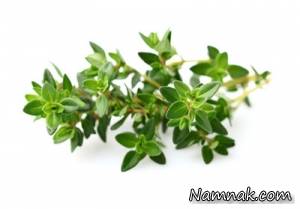 آویشن ، مصرف آویشن در بارداری