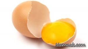 تخم مرغ ، خواص تخم مرغ