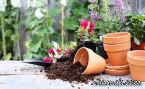 کود گیاهی ، درست کردن کود گیاهی