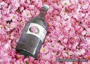 گلاب ، گلاب مرغوب