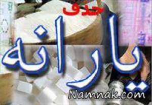 یارانه ، یارانه نقدی