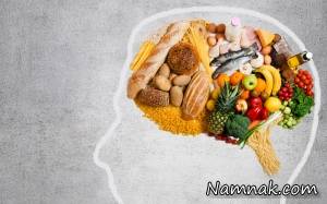 مغز دوم ، شکم مغز دوم