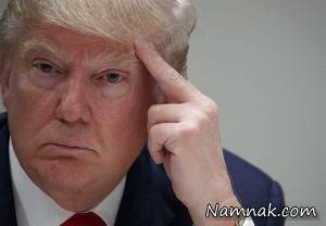 دونالد ترامپ ، دونالد ترامپ انتخابات