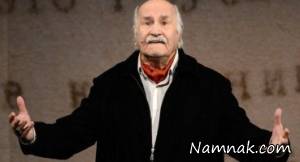 ولادمیر زلدین