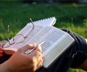 فایل های PDF