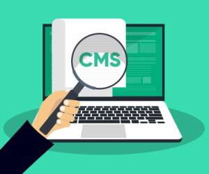 ابزارهای تشخیص CMS