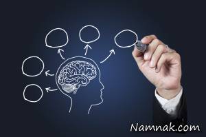 انسان عاقل ، خصوصیات انسان عاقل