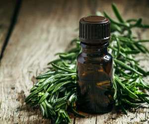 روغن درخت چای برای ریزش مو
