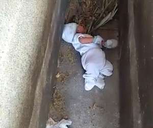 نوزاد 2 ماهه