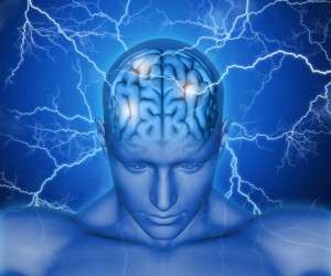 مغز ، همه چیز درباره مغز