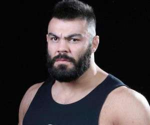 امیر علی اکبری ، امیر علی اکبری mma
